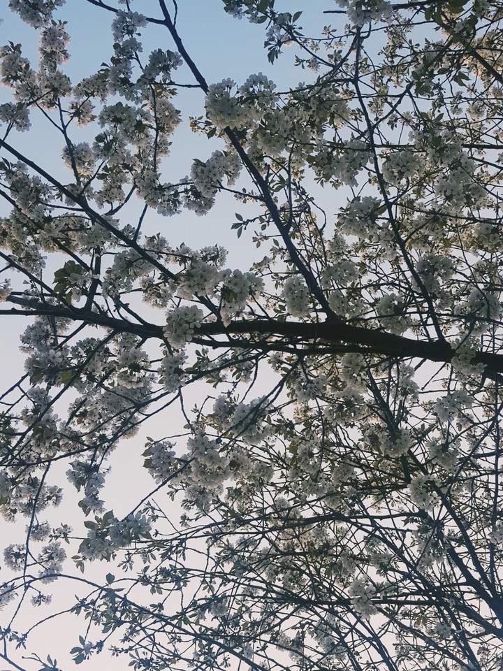 Spring