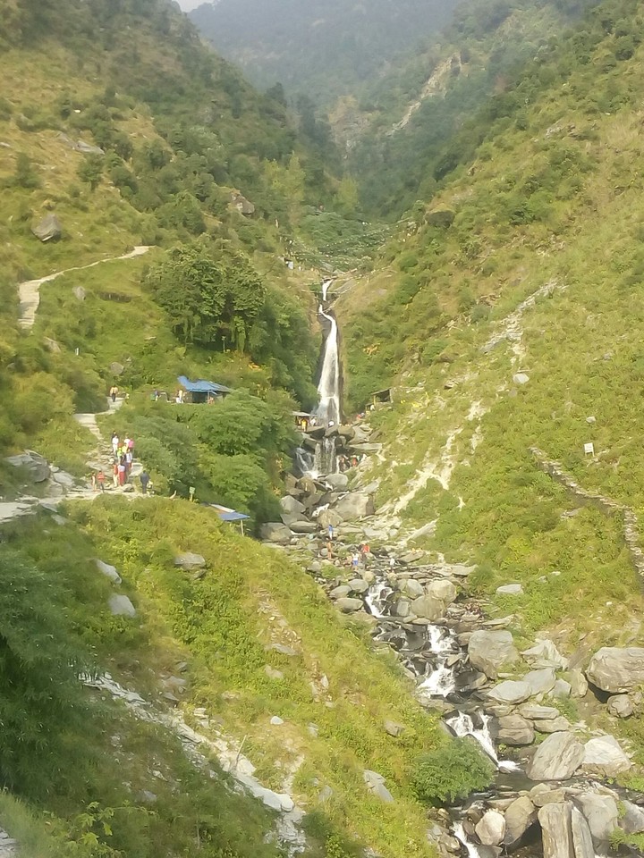nature