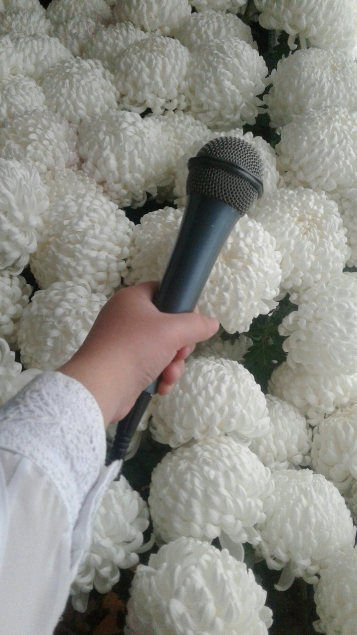 sing