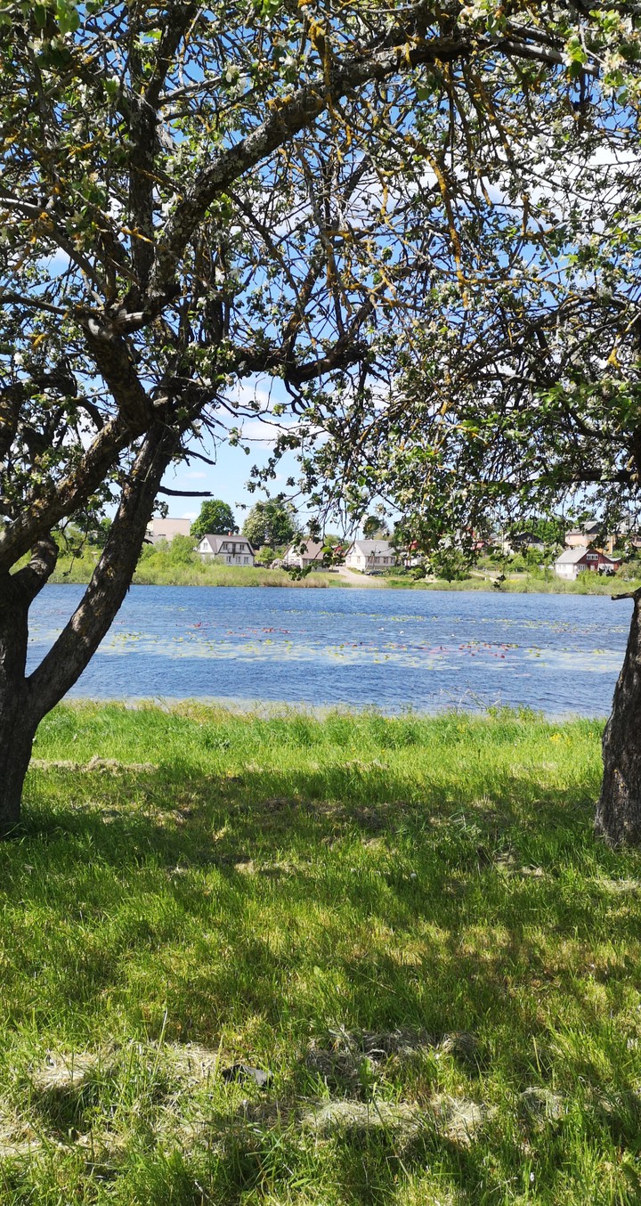 nature