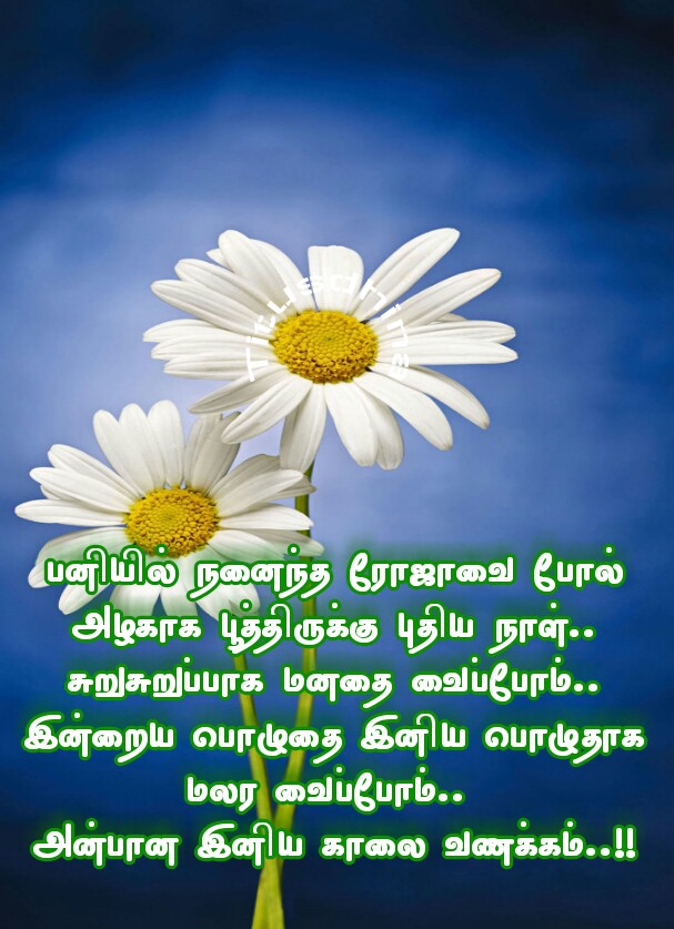 இனிய காலை வணக்கம்