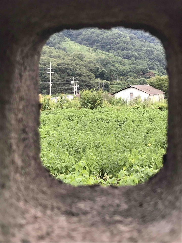 구멍에비친자연