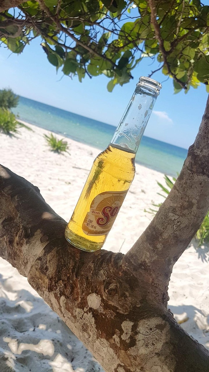 sol