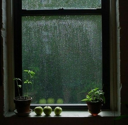 rainy