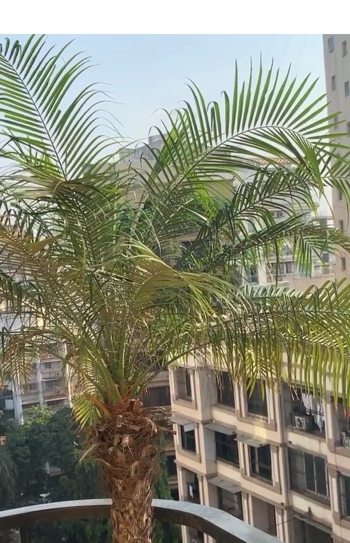 #Terrace view