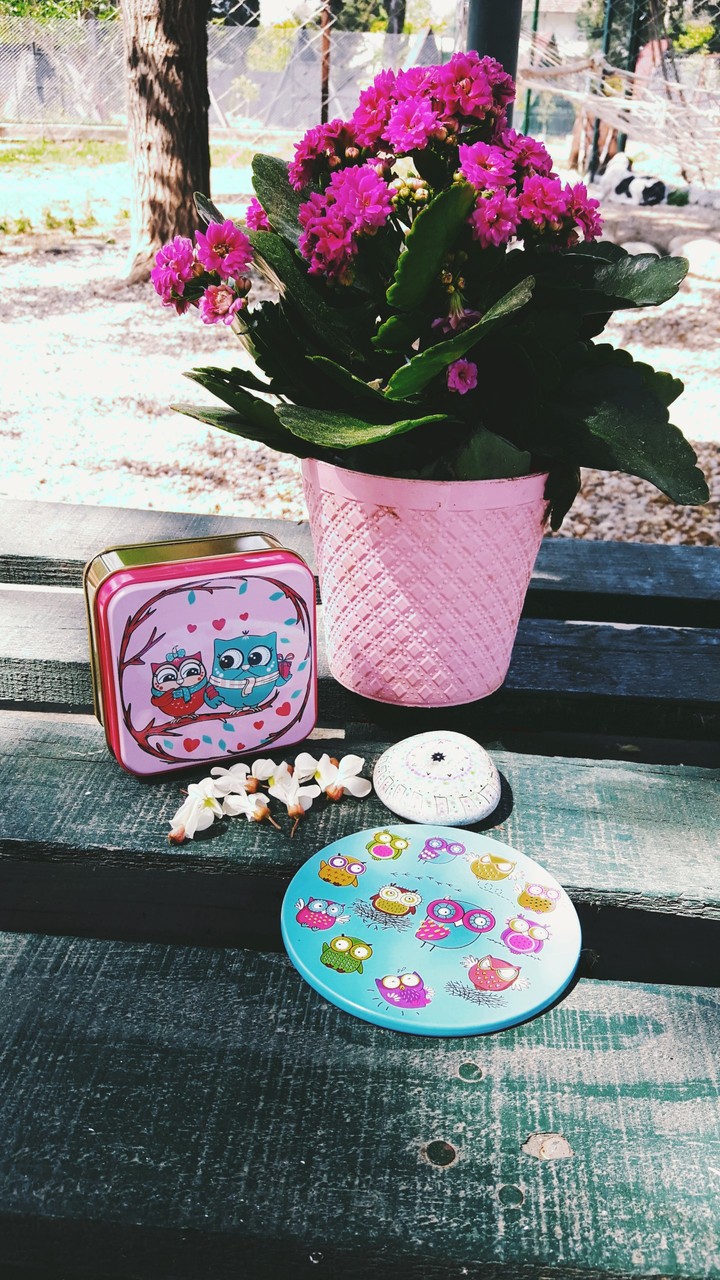 my gifts :)