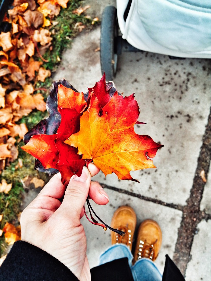 autumn