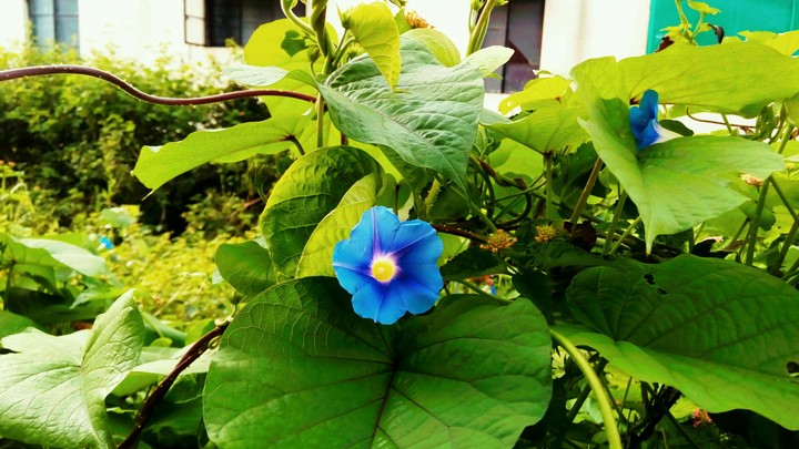 Good morning!!