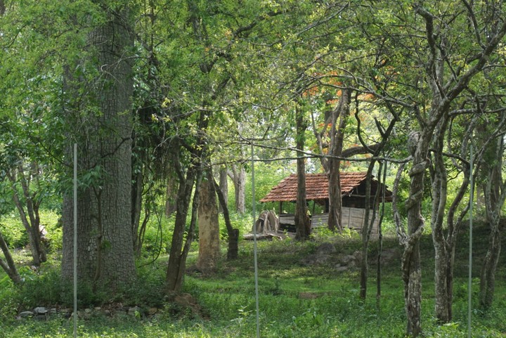 coorg