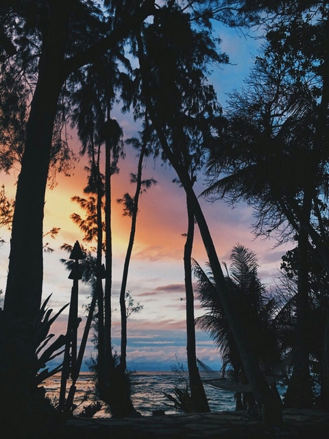 island