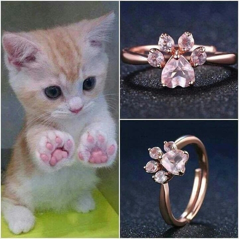 cat, whiskers वॉलपेपर