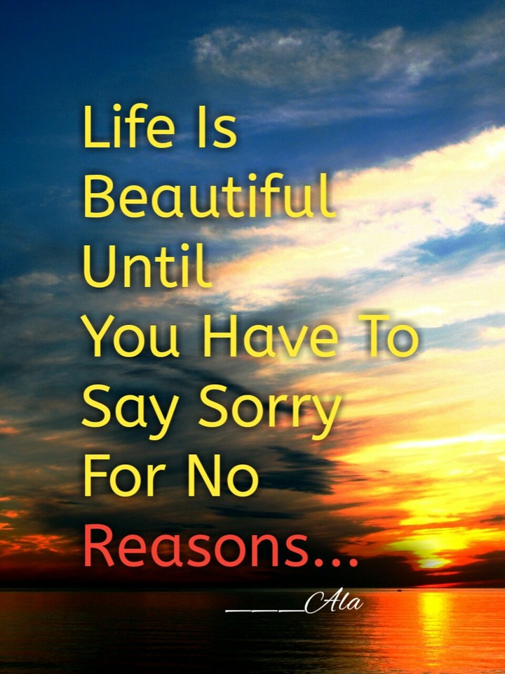 Life Is Beautiful Until You Have To Say Sorry For No Reasons