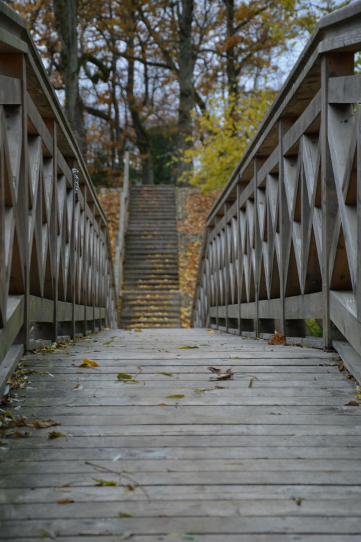 Bridge