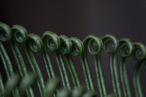 details