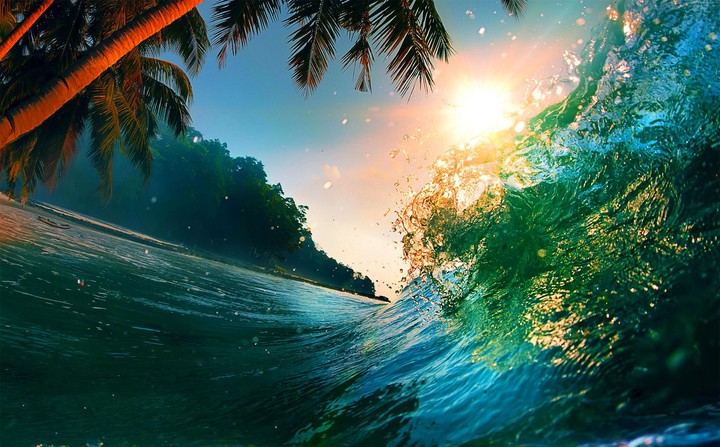 Splash