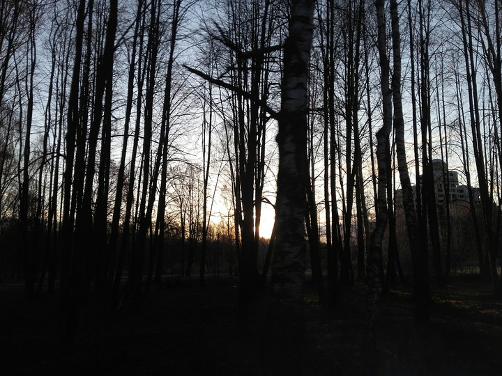 Sunrize