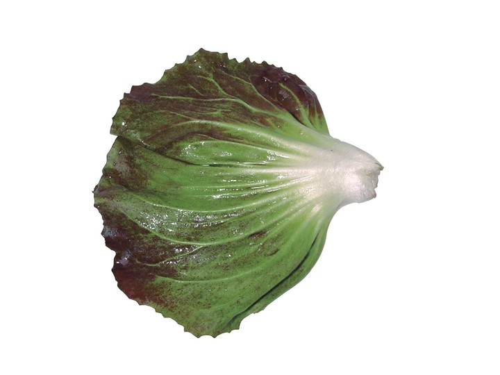 음식이미지