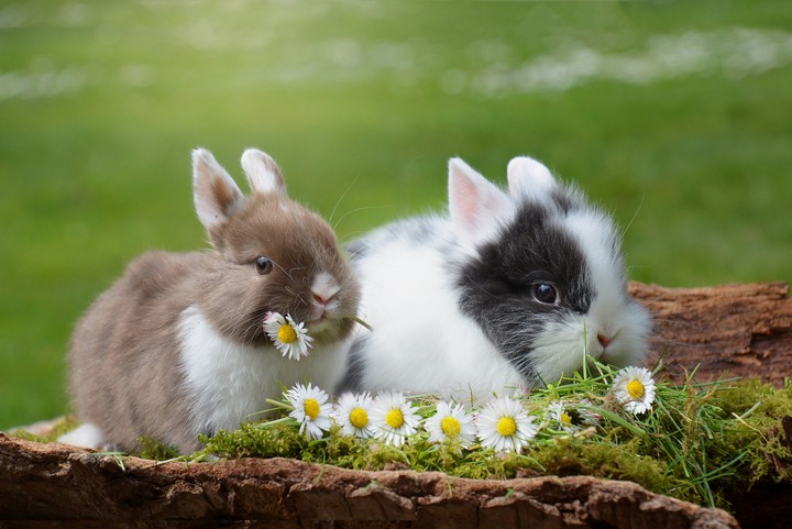 ❁❤️❁