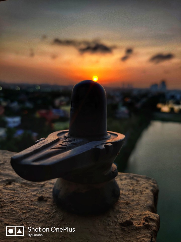 shiv