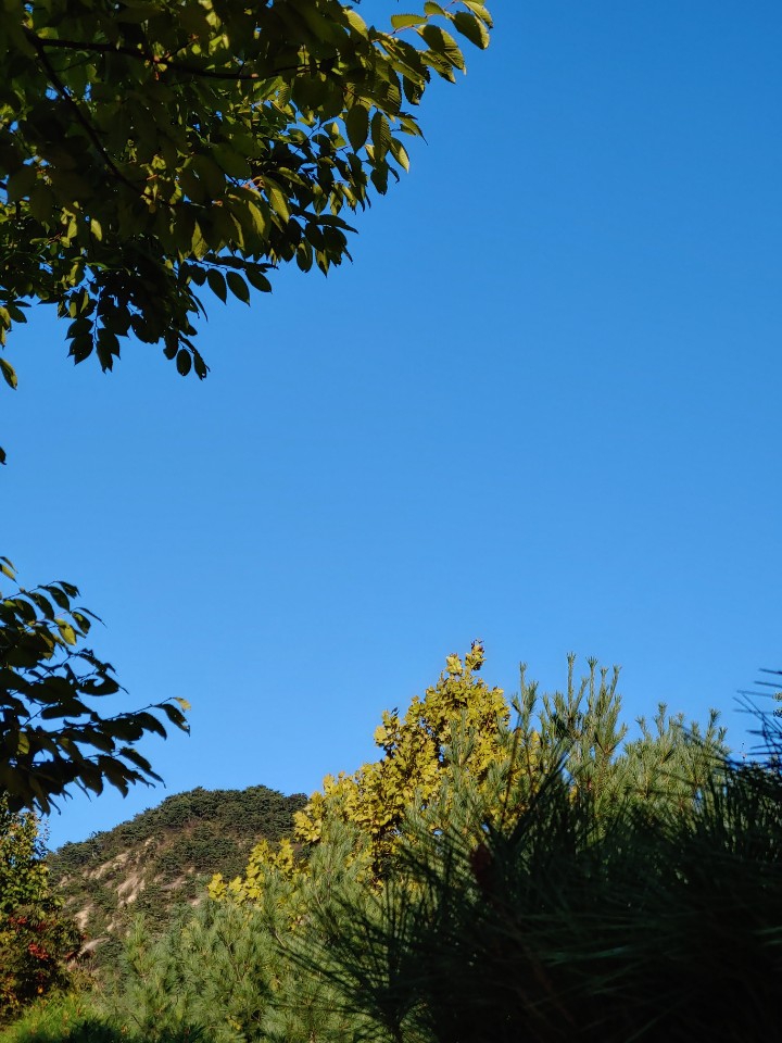 Blue sky