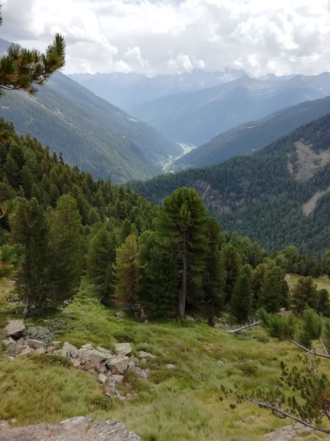 Mountains
