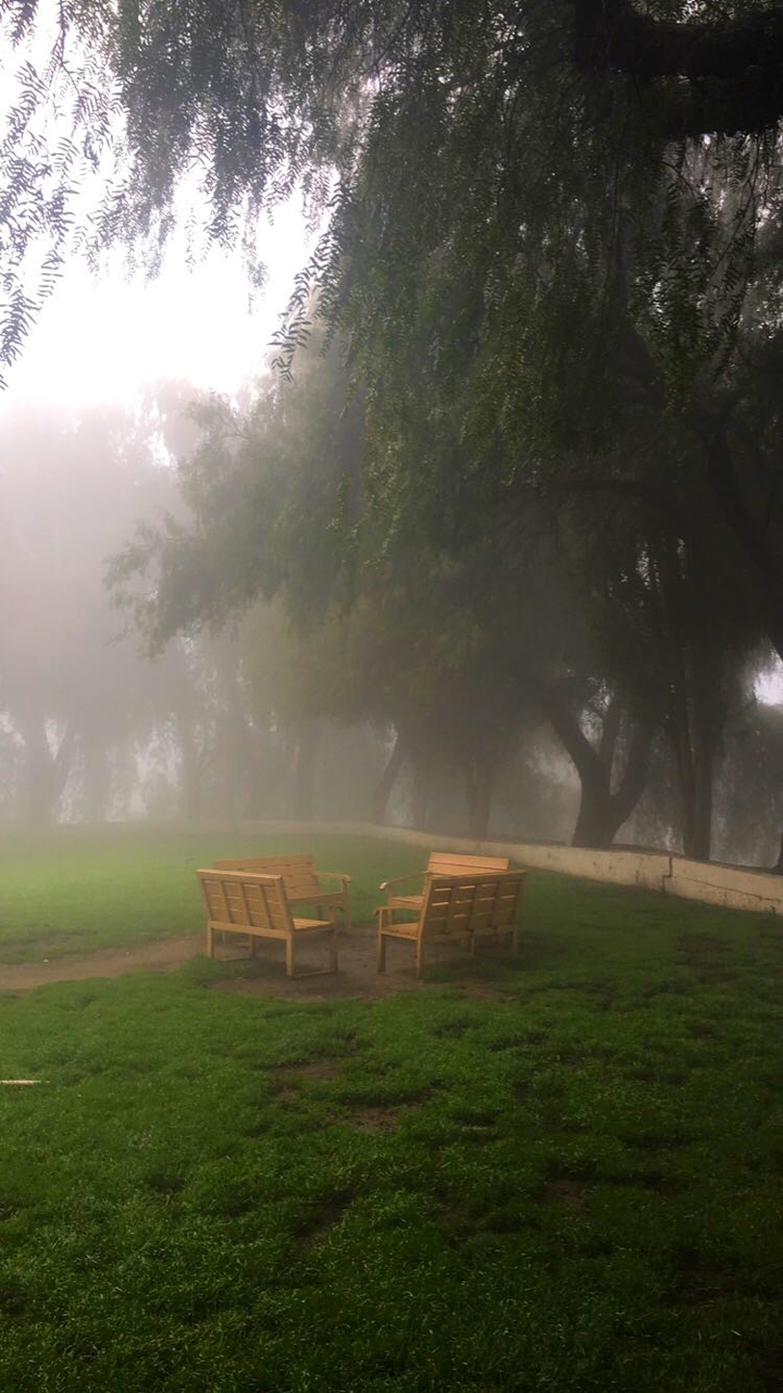 fog
