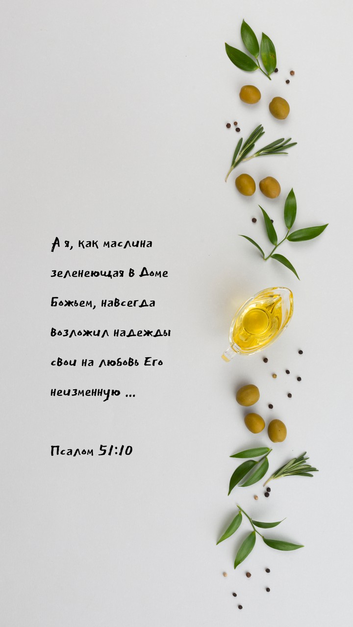 Зеленеющая маслина ...