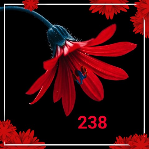 design, Greeting壁纸
