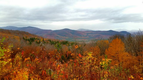 Colorful Fall