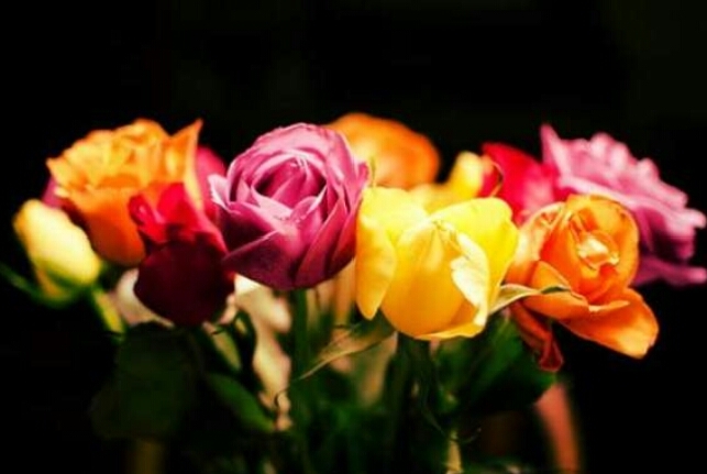 Flowers