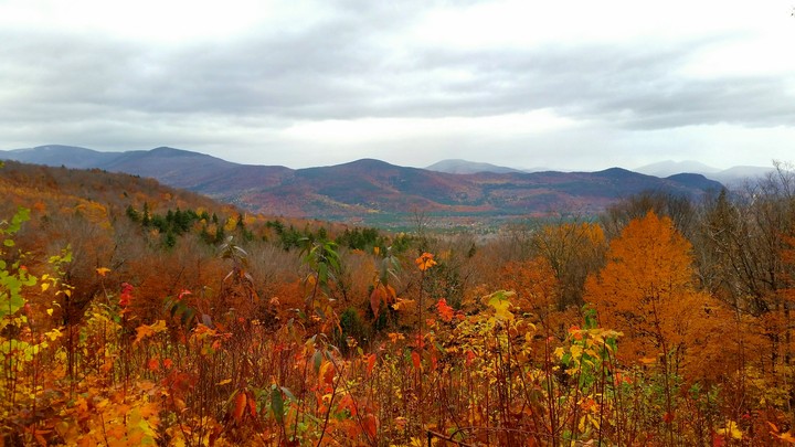 Colorful Fall