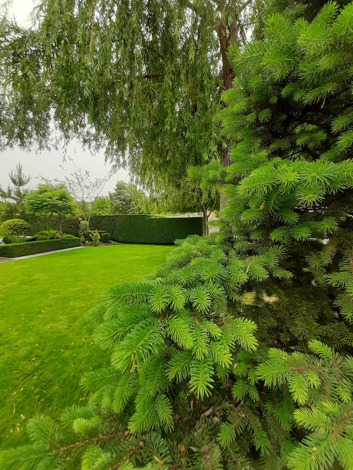 green place