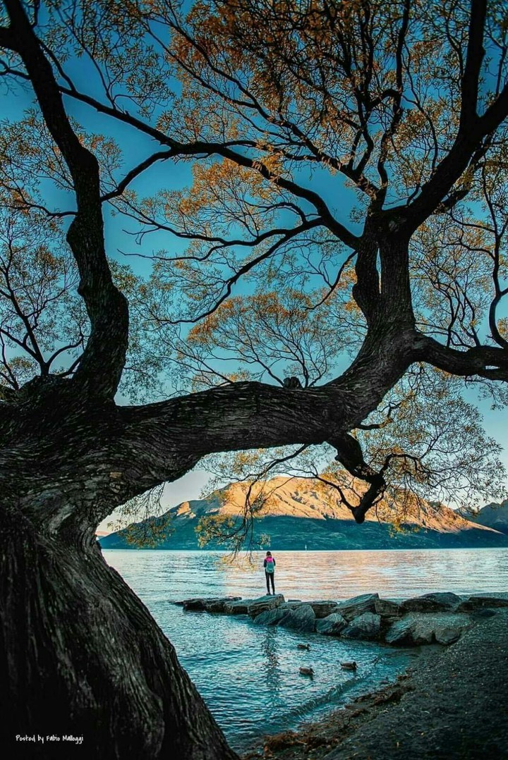 #nature