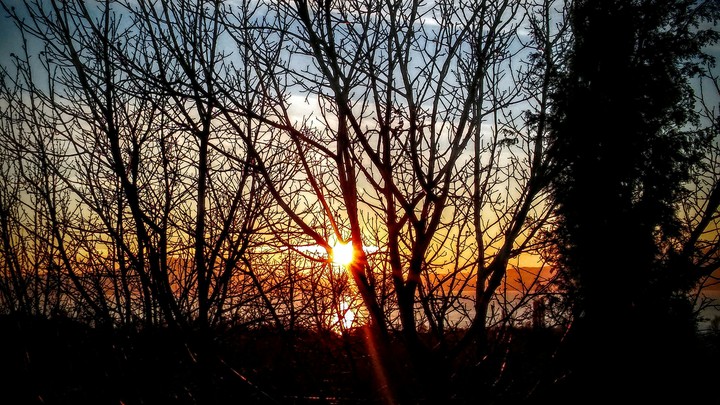sun~