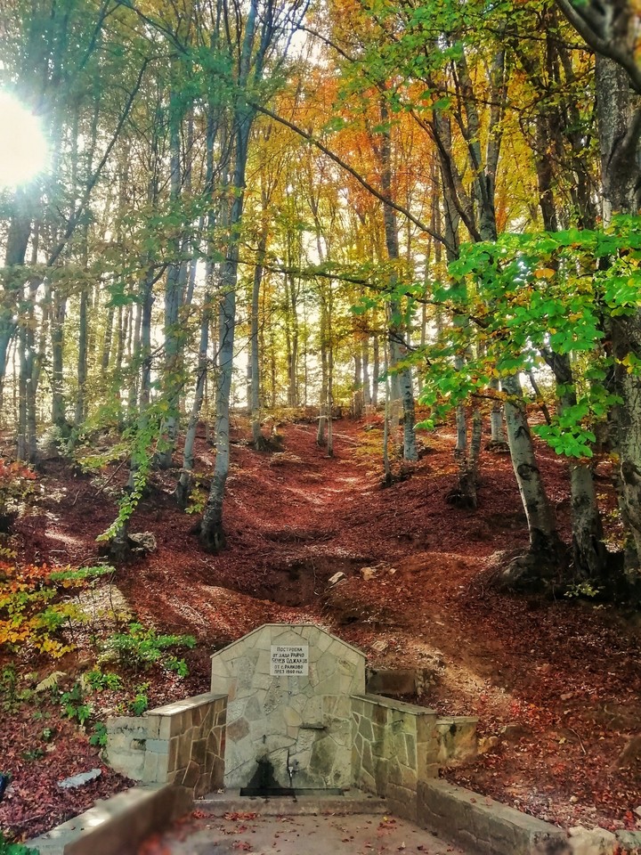 autumn