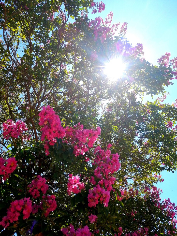 Beautiful day