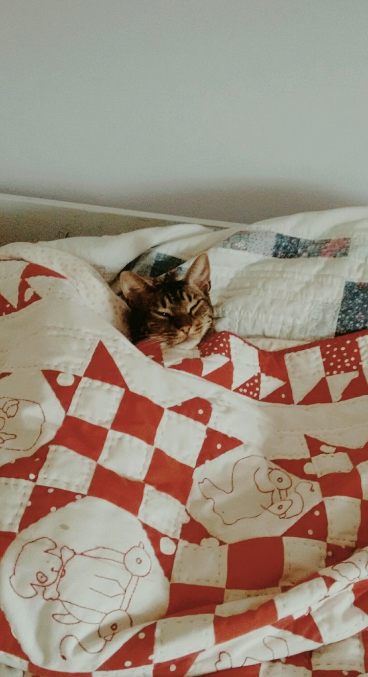 tucked in