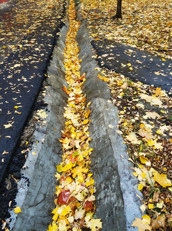 autumn's water