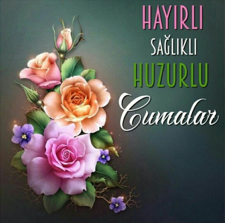 Aminn