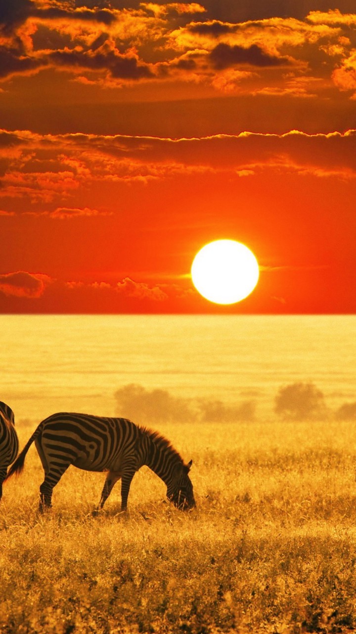 BEAUTIFUL Sunrise and Landscape of Africa