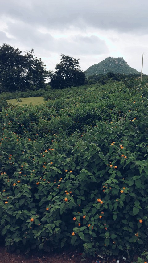 location Jharkhand R.i.T