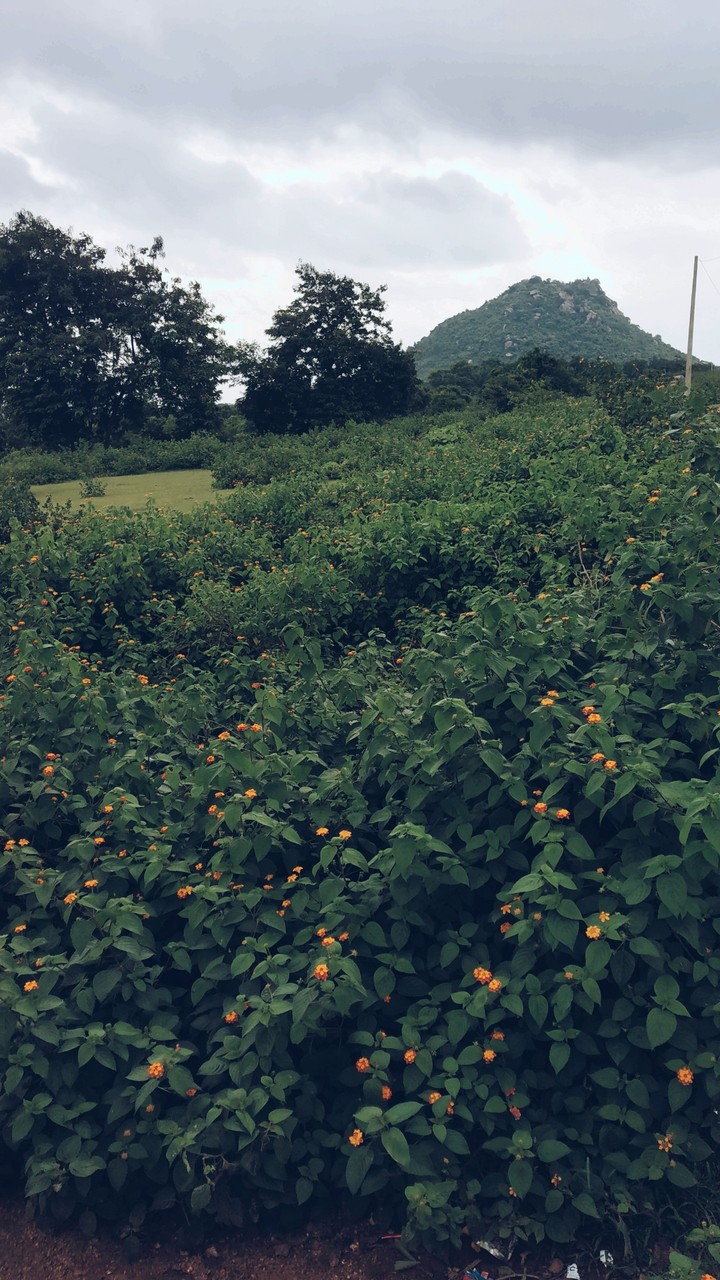 location Jharkhand R.i.T