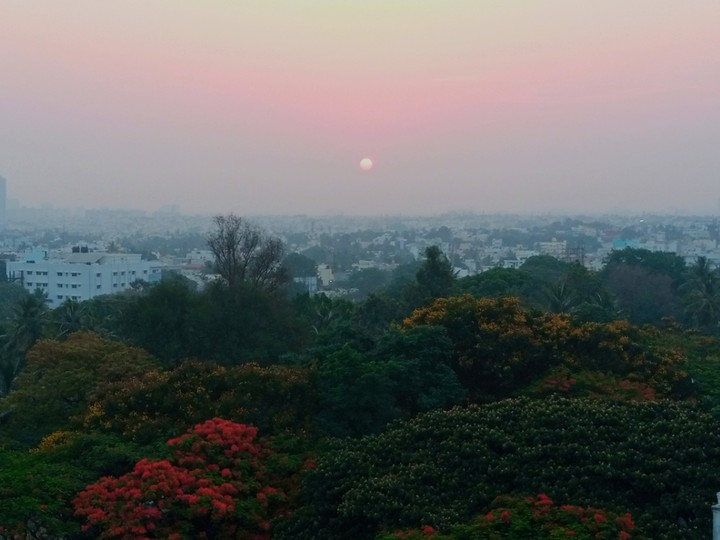 Early Morning