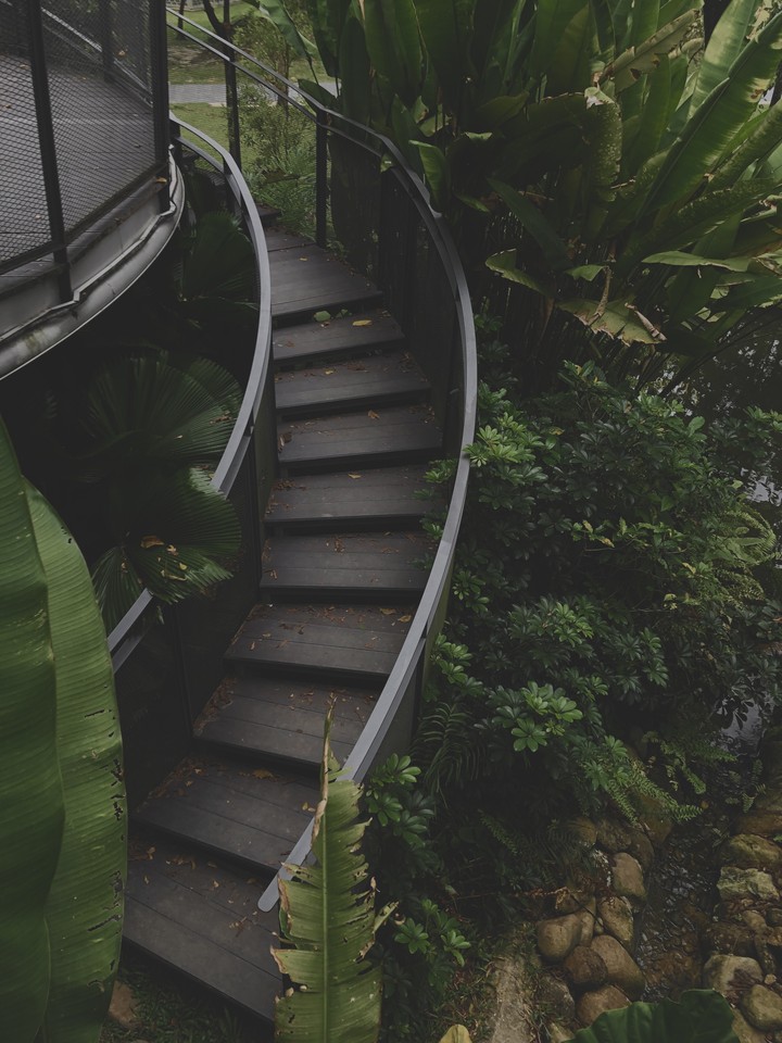 Stairs In The Park