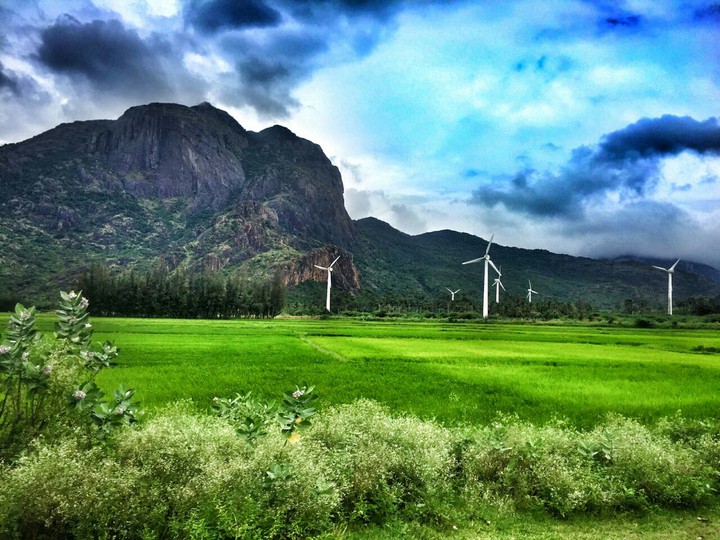 Nature