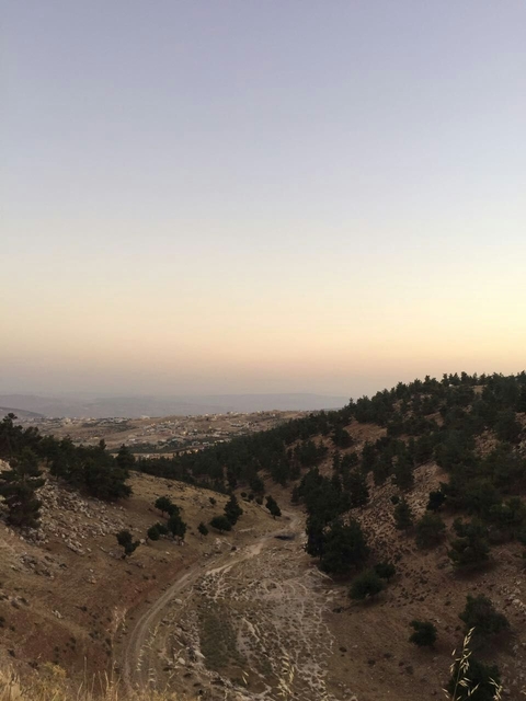 nature