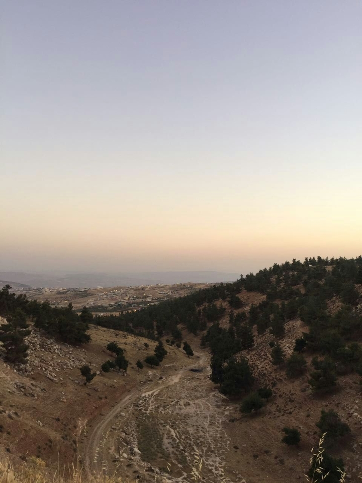 nature