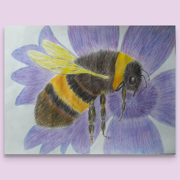 wasp