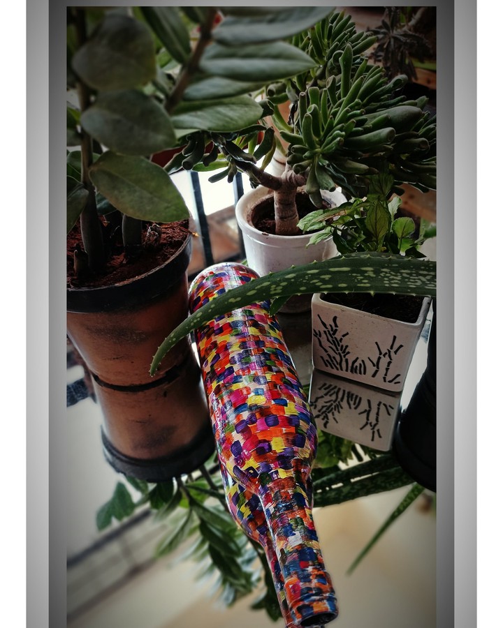 plant therapy