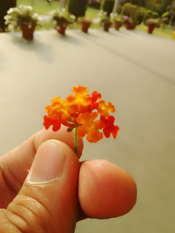 for you....